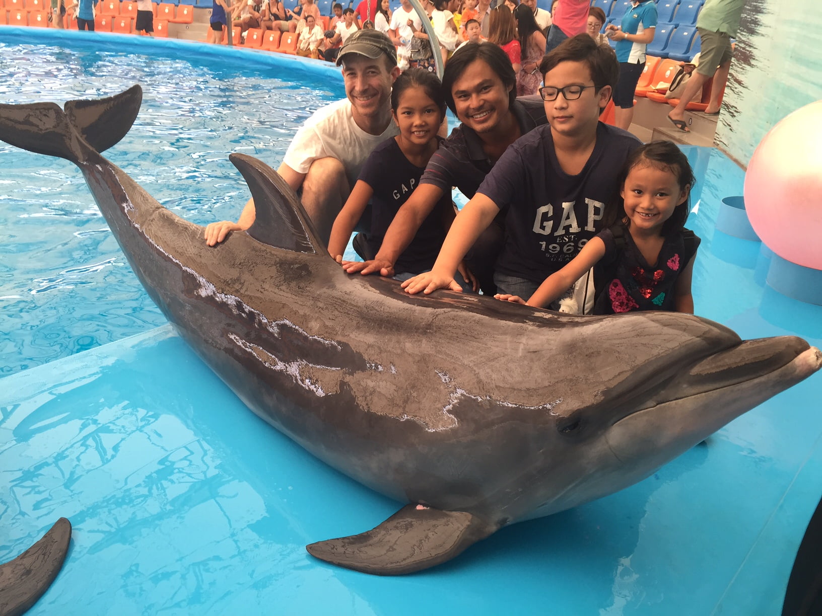 Dolphin Show — Phuket
